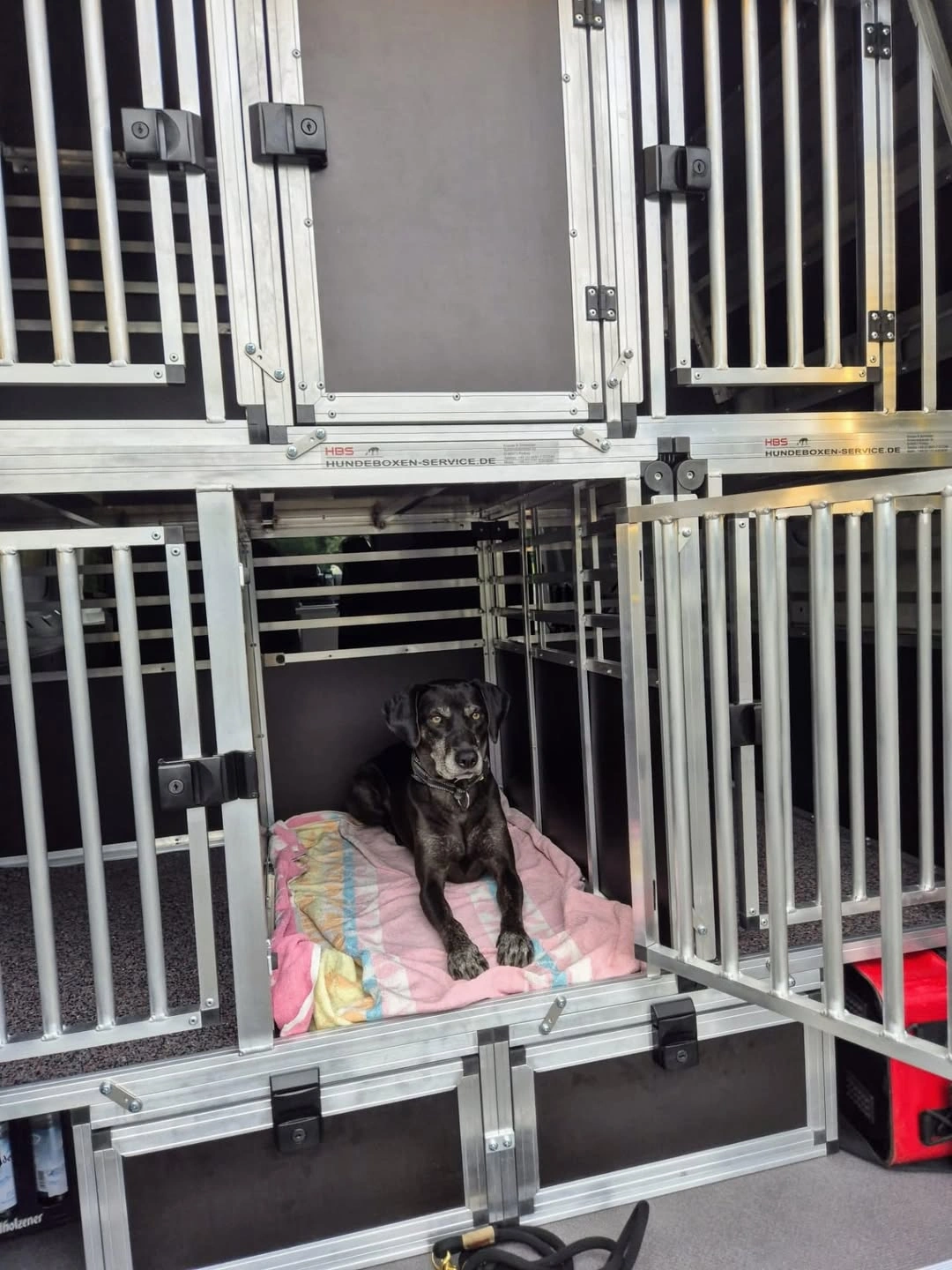 ELW / GW-Hund für die Hundestaffel des ASB München